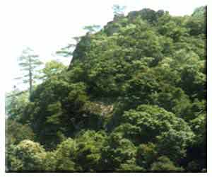 南平湛庐山天气