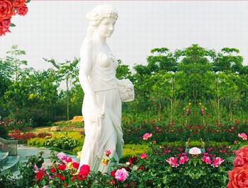 广州从化宝趣玫瑰世界天气